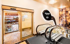 Occidental Praha Wilson